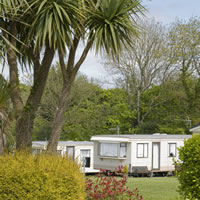 View of gardens at Morgan's Lodge Caravan Park